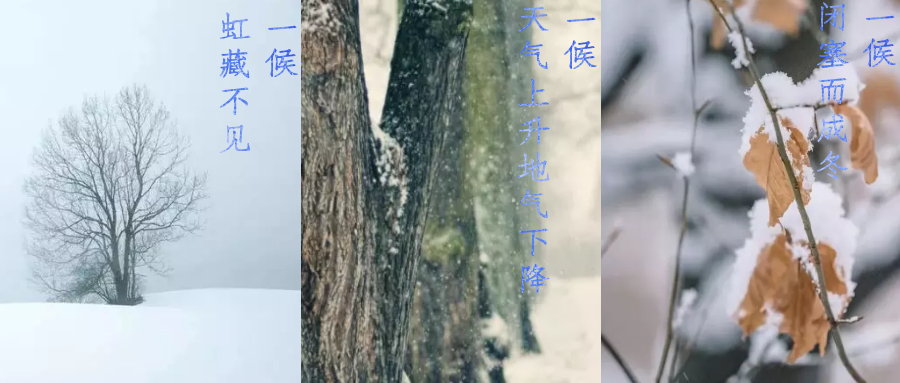 今日小雪，寒潮來襲，洗瓶機(jī)來幫你解放雙手吧！